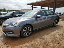 Salvage cars for sale from Copart Tanner, AL: 2017 Honda Accord EXL