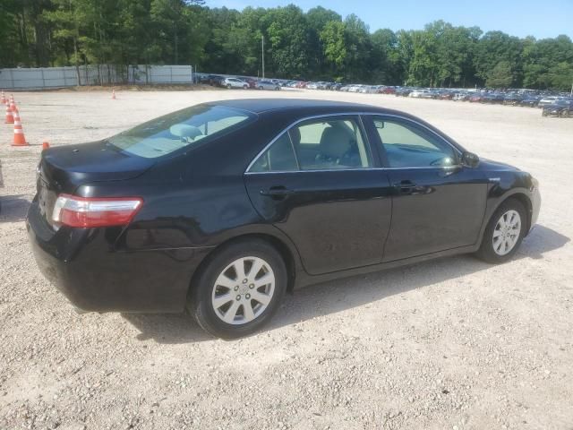 2009 Toyota Camry Hybrid