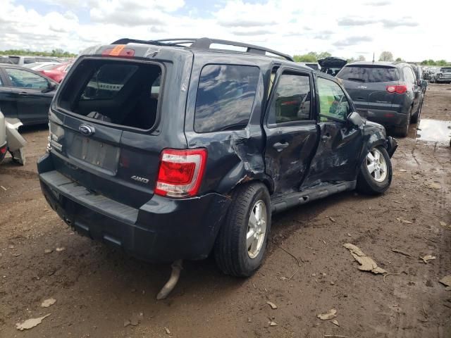 2009 Ford Escape XLT