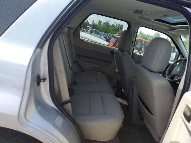 2010 Ford Escape XLT