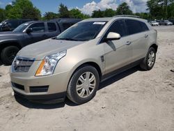 Cadillac salvage cars for sale: 2010 Cadillac SRX Luxury Collection