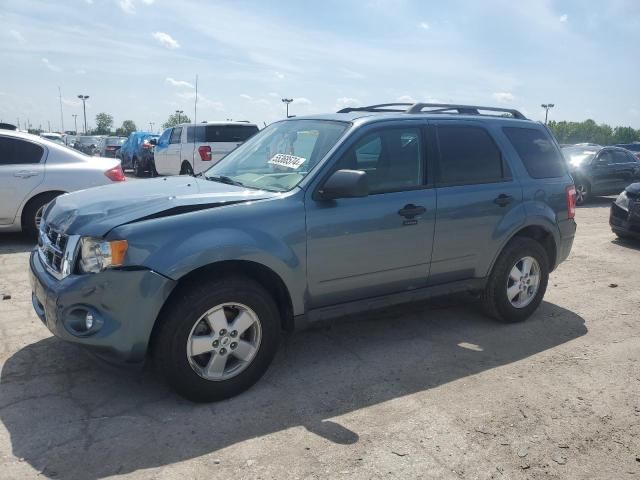 2010 Ford Escape XLT