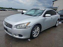 Nissan salvage cars for sale: 2011 Nissan Maxima S