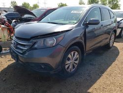 2013 Honda CR-V EXL en venta en Elgin, IL