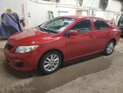 Salvage cars for sale from Copart Casper, WY: 2009 Toyota Corolla Base