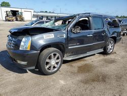 Cadillac salvage cars for sale: 2010 Cadillac Escalade ESV Luxury