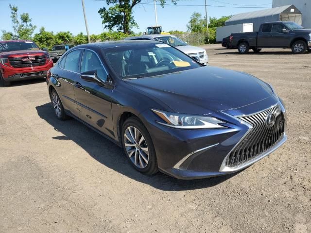 2019 Lexus ES 350