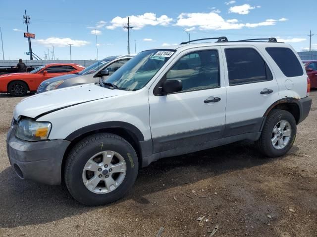 2006 Ford Escape XLT