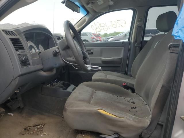 2006 Dodge Dakota Quattro