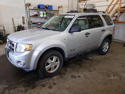 Vehiculos salvage en venta de Copart Ham Lake, MN: 2008 Ford Escape XLT