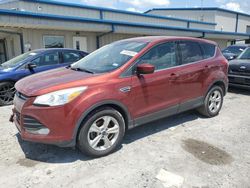 Ford Escape salvage cars for sale: 2015 Ford Escape SE