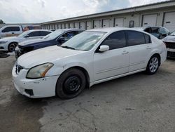 2007 Nissan Maxima SE en venta en Louisville, KY