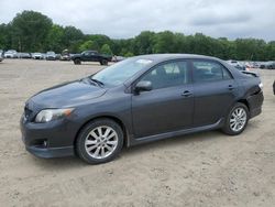 Toyota salvage cars for sale: 2010 Toyota Corolla Base