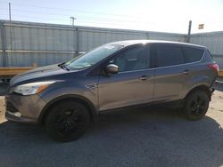 2014 Ford Escape SE en venta en Dyer, IN