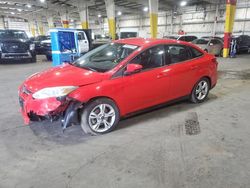 Ford Focus salvage cars for sale: 2014 Ford Focus SE