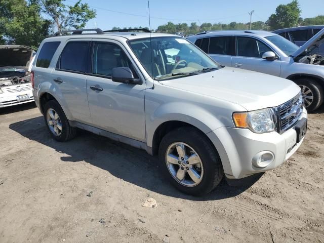 2009 Ford Escape XLT