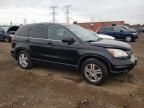 2010 Honda Cr-v exl