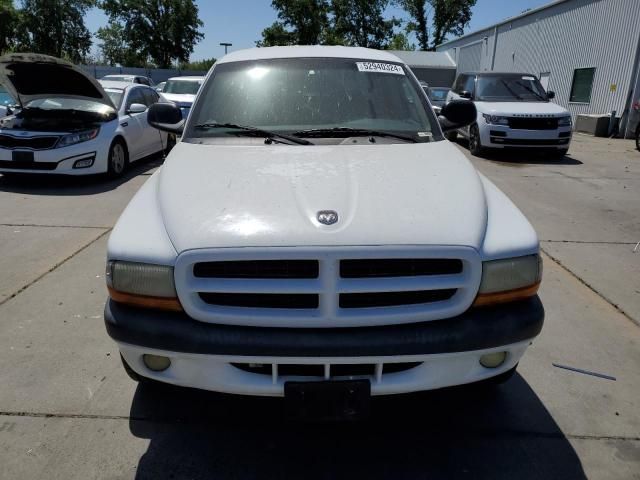 2001 Dodge Dakota Quattro