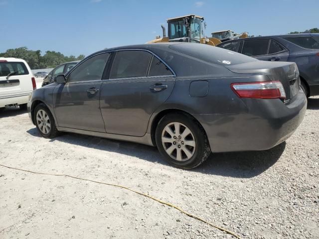 2007 Toyota Camry Hybrid