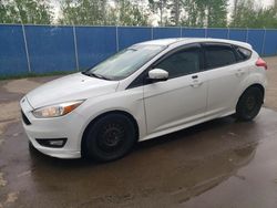 Salvage cars for sale from Copart Moncton, NB: 2016 Ford Focus SE