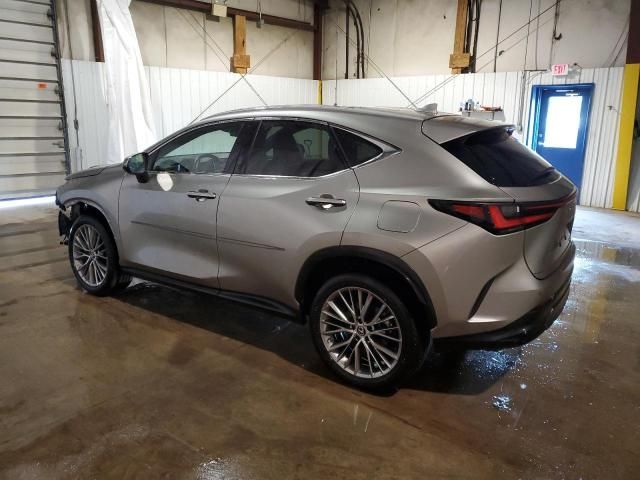 2022 Lexus NX 350H