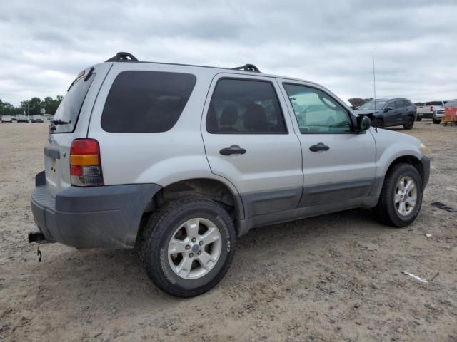 2006 Ford Escape XLT