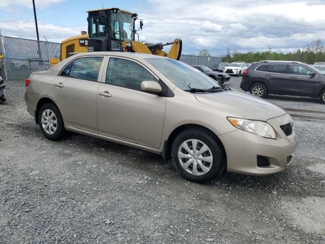 2010 Toyota Corolla Base