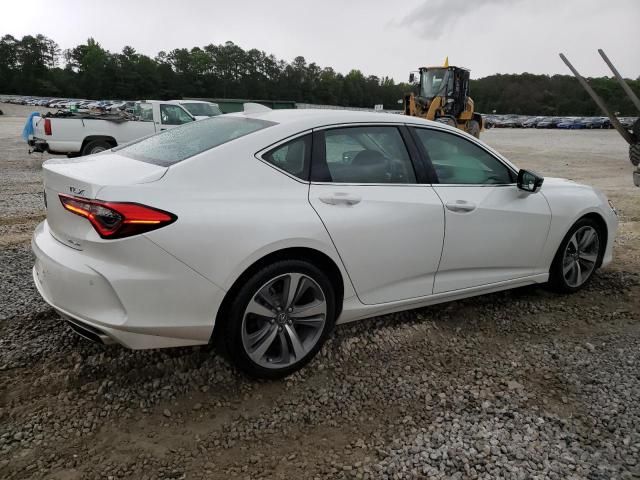 2023 Acura TLX Advance