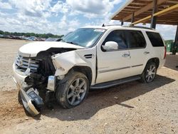 Cadillac salvage cars for sale: 2008 Cadillac Escalade Luxury