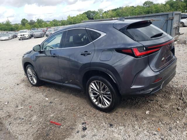 2022 Lexus NX 350H