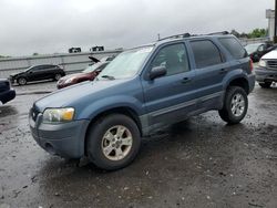 2005 Ford Escape XLT en venta en Fredericksburg, VA