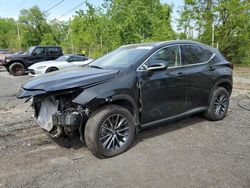 2024 Lexus NX 350 Premium for sale in Marlboro, NY