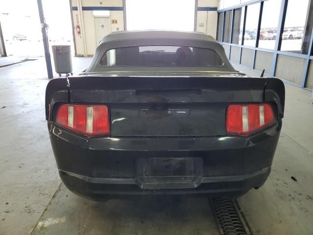 2010 Ford Mustang