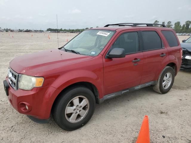 2011 Ford Escape XLT