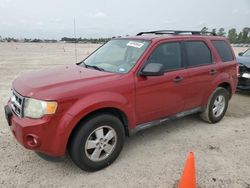 2011 Ford Escape XLT for sale in Houston, TX