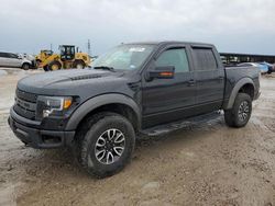Ford salvage cars for sale: 2013 Ford F150 SVT Raptor