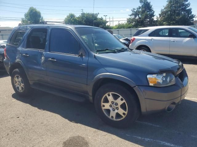 2005 Ford Escape XLT