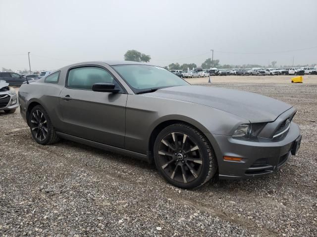 2013 Ford Mustang