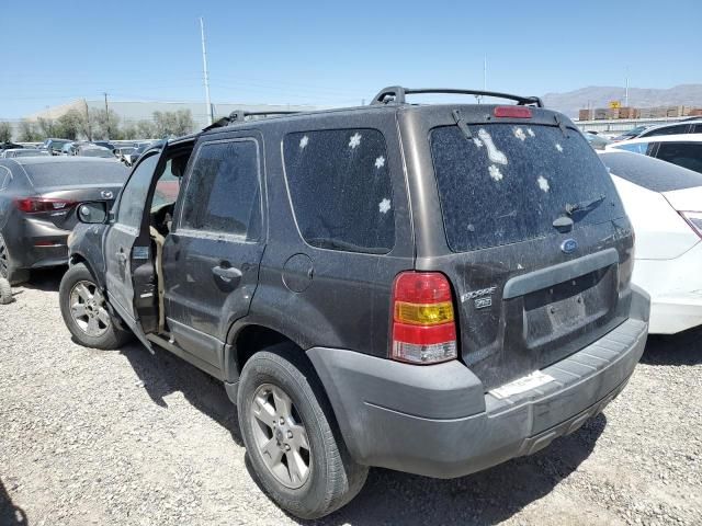 2007 Ford Escape XLT