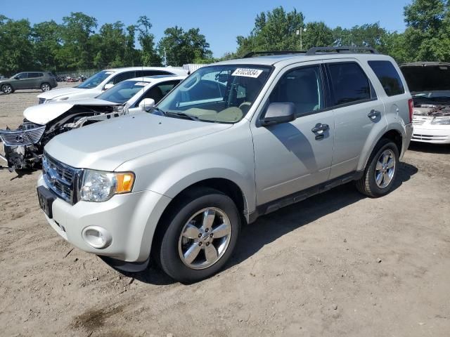 2009 Ford Escape XLT