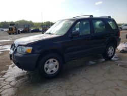 Ford salvage cars for sale: 2006 Ford Escape XLS