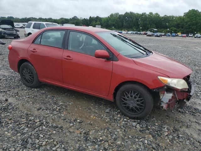 2011 Toyota Corolla Base