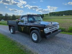 Dodge salvage cars for sale: 1971 Dodge 100