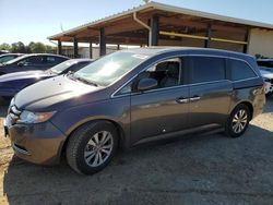 Honda Odyssey exl Vehiculos salvage en venta: 2015 Honda Odyssey EXL