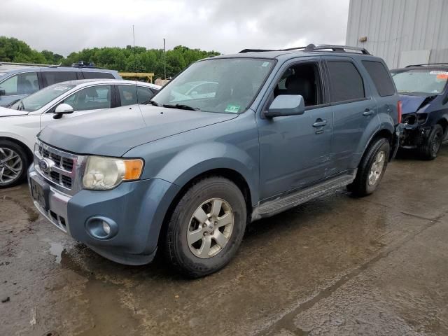 2010 Ford Escape Limited