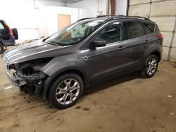 2014 Ford Escape SE en venta en Ham Lake, MN