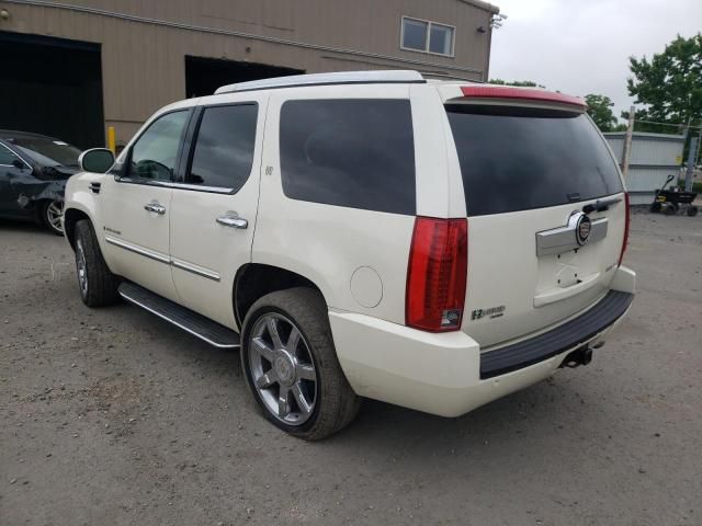 2009 Cadillac Escalade Hybrid