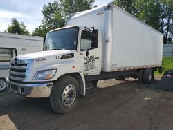 Hino 258/268 salvage cars for sale: 2013 Hino 258 268