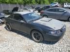 1999 Ford Mustang Cobra SVT