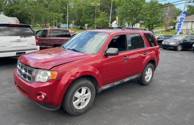 2009 Ford Escape XLT